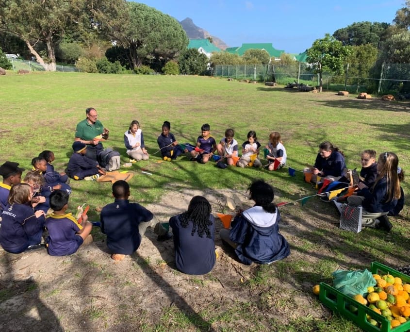 Timmerclub international Timmerclub international